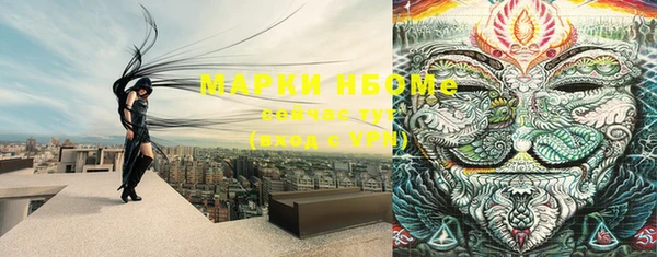 гашик Беломорск