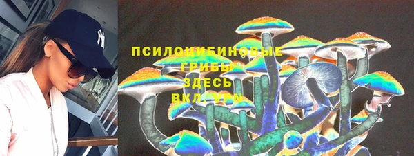 гашик Беломорск